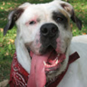 Meet your Posher, Jared